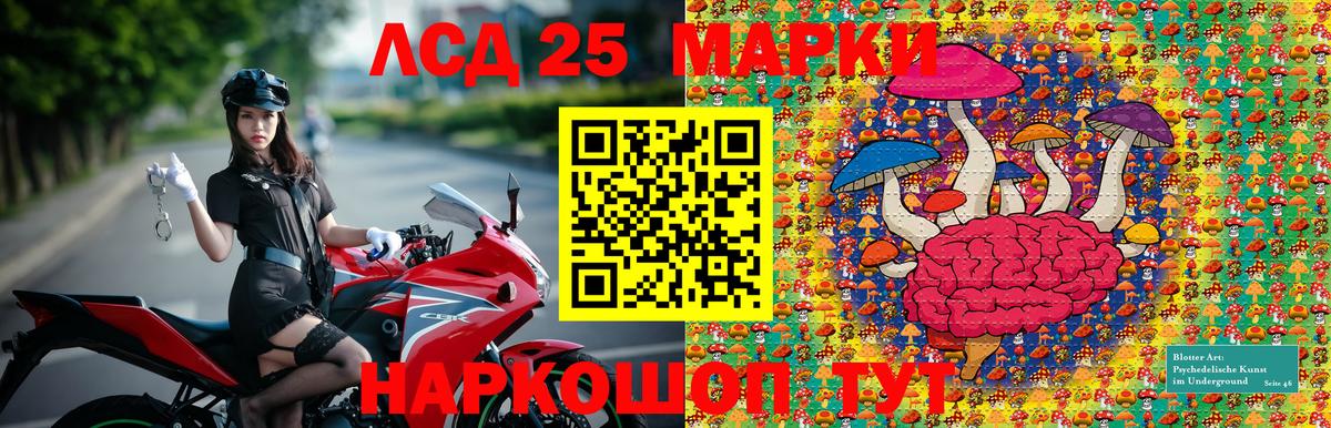 Меф МЯУ МЯУ кристаллы  Cocaine  Владивосток  A PVP СК   МДМА  Вход с VPN  ГАШИШ  ГАШИШ 