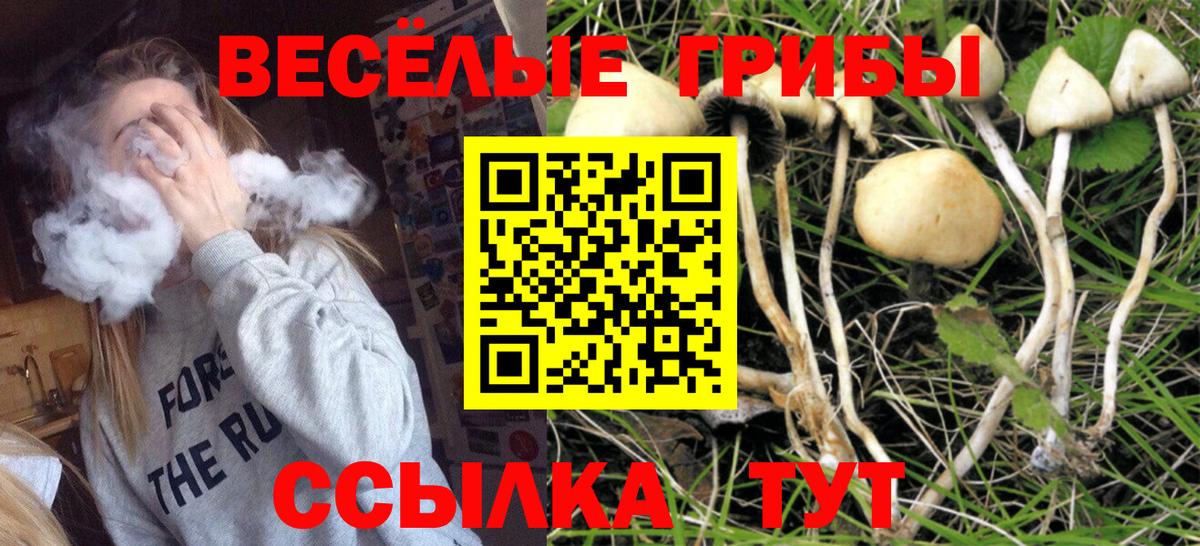 Владивосток  Псилоцибиновые грибы Psilocybine cubensis  Псилоцибиновые грибы Magic Shrooms  Вход с VPN 